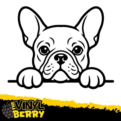 Cute french bulldog peeking - cute,