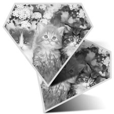 2 x Diamond Stickers 10 cm BW