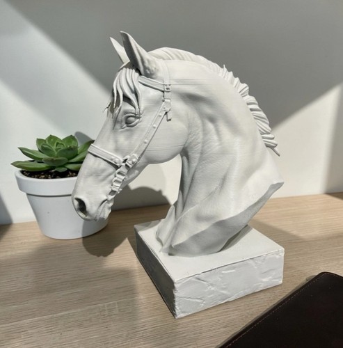 Elegant white horse - horse, head