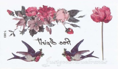 Sparrow swallow swift bird - swift,