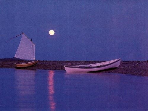 Nutshell peapod sailing - peapod, pram