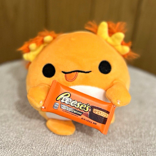 Squishmallows axolotl plush - axolotl,