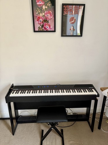 Alesis recital key digital - recital, 88-key