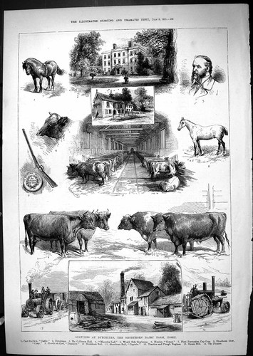 Old 1881 dytchleys - old,