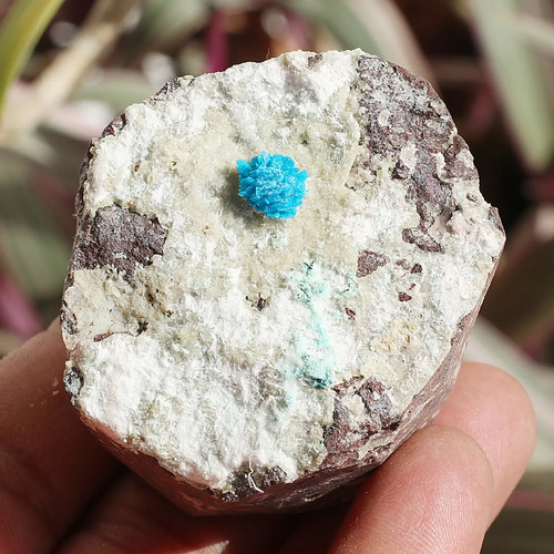 Cavansite crystalball - cavansite,