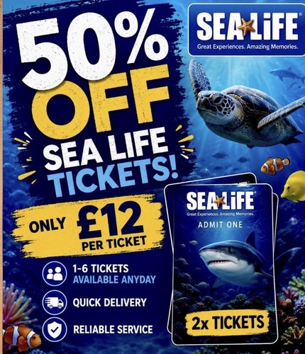 Sea life theme - life,