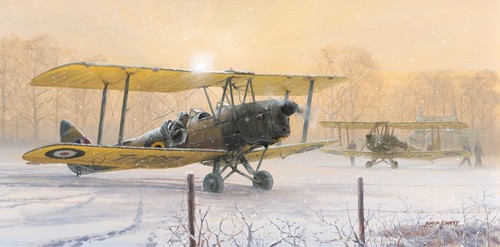 Limited aviation print - aviation, those