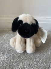 Vintage Russ pedigree pups