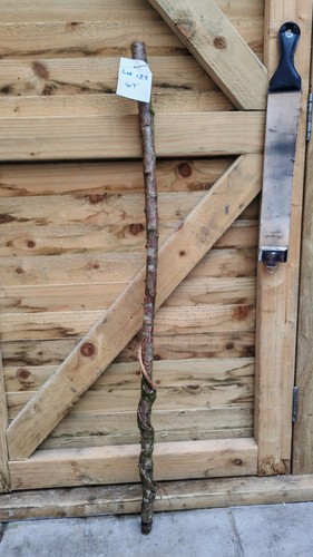 Twisted twisty wood - twisted,