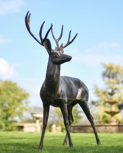 Life size deer sculpture - life,