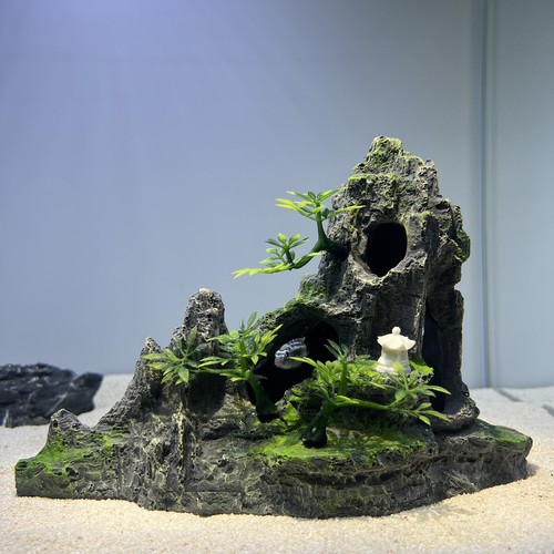 Aquarium fish tank - fish, ornament