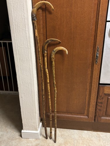 Three rams horn crook walking - three,