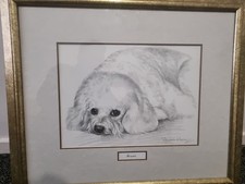 Original Pollyanna Pickering