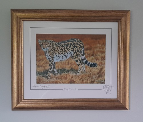 Stephen gayford limited - gayford,