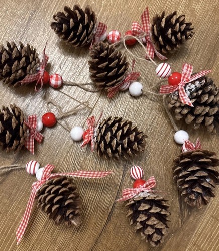 Pine cones hanging - 10,
