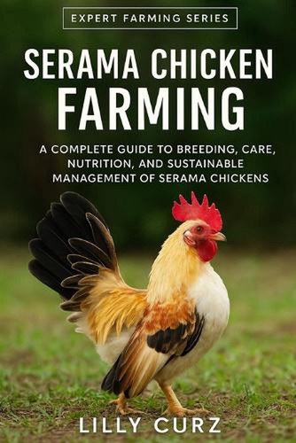 Serama chicken farming a - serama, farming: