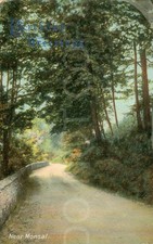 Vintage Postcard 1902 Pathway