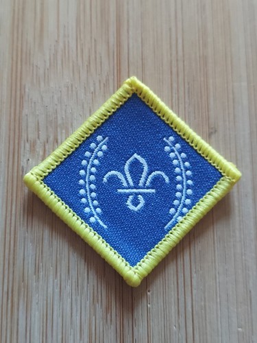 Scouting current chief - uk,