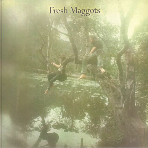 Fresh maggots - maggots,
