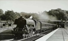 A3 60106 Flying Fox 5.5x3.5