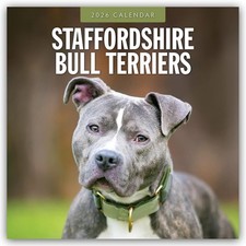 Staffordshire Bull Terriers 2026 Square Wall Calendar: Original Red Robin Publis