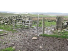Photo A1 Gate with sheep pass