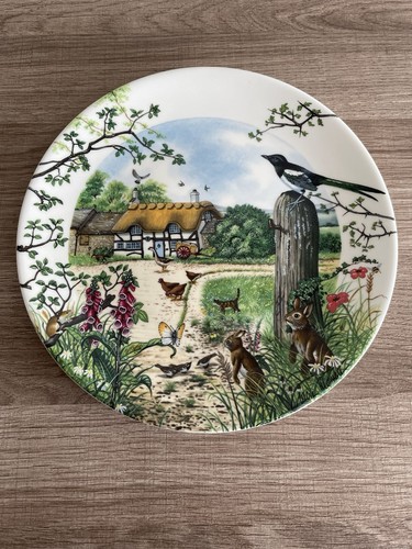 Wedgwood colin newman - wedgwood,