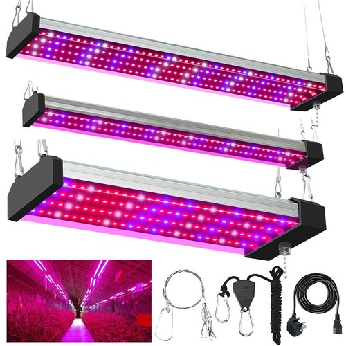Plant grow light led - plant,