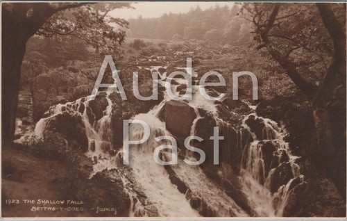 Rppc the swallow - the,