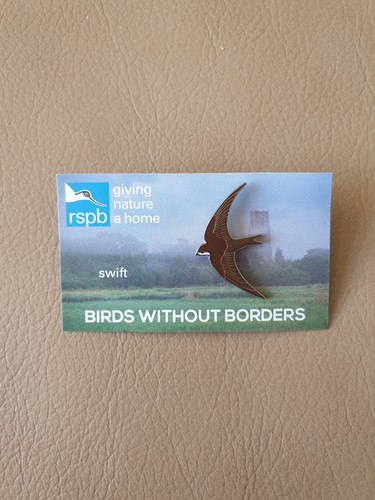 Rspb swift enamel pin badge - enamel,