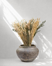 cottage flowers dried flower