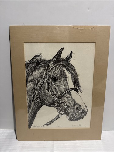 1983 arabian horse print art - arabian,