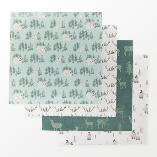 First edition arctic wonder - edition, 'arctic