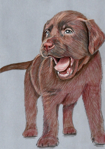 Original colored pencil