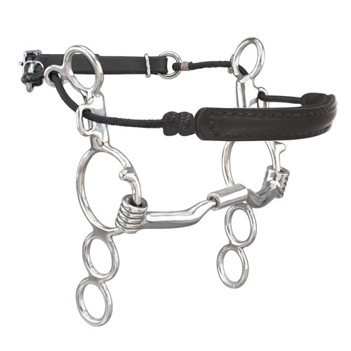 Myler ring combination bit - myler,