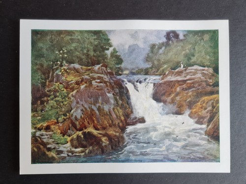 Antique 1908 print skelwith - print,