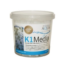 Evolution aqua media - evolution,