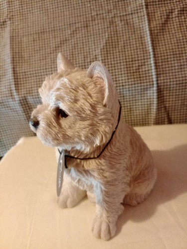 West highland white terrier - white,