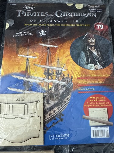 Hachette build the pirates - the,