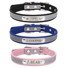 Personalised Dog Collar