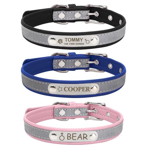Personalised dog collar - personalised,