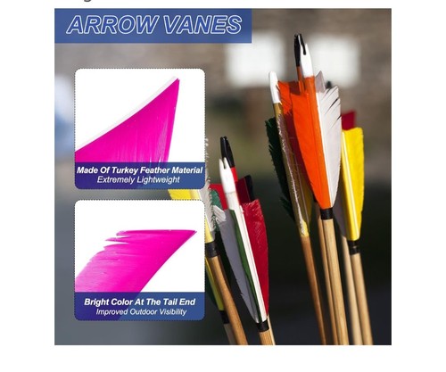 Arrow vanes turkey archery - arrow,