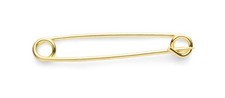 Shires Aubrion Plain Gold Plated Stock pin