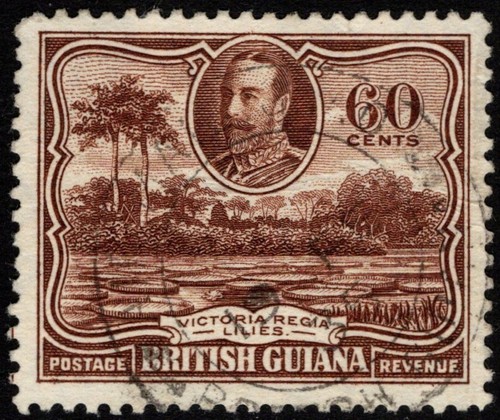 British guiana 1934 kgv trees - kgv,