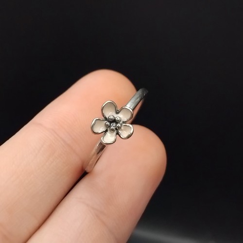 Genuine pandora silver - silver, pink