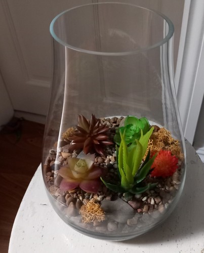 Cacti glass terrarium - in,