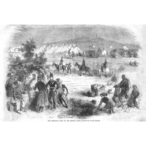 Crimean war the sardinian camp - the,