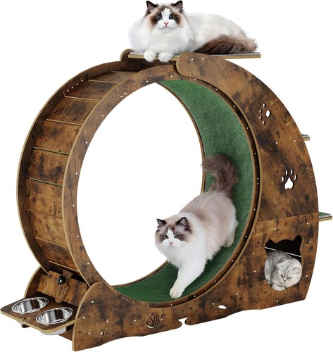 4in1 cat wheels for - for, indoor