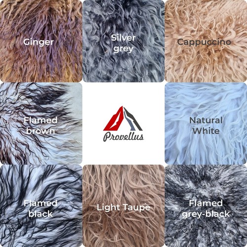 Premium longhair icelandic - longhair,