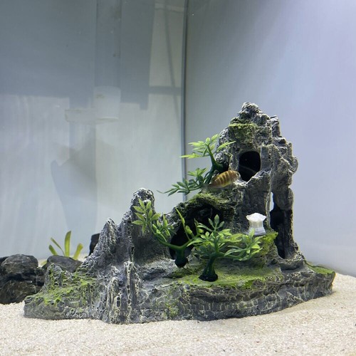 Aquarium fish tank - aquarium,